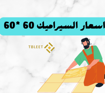 ارخص اسعار السيراميك 60 * 60