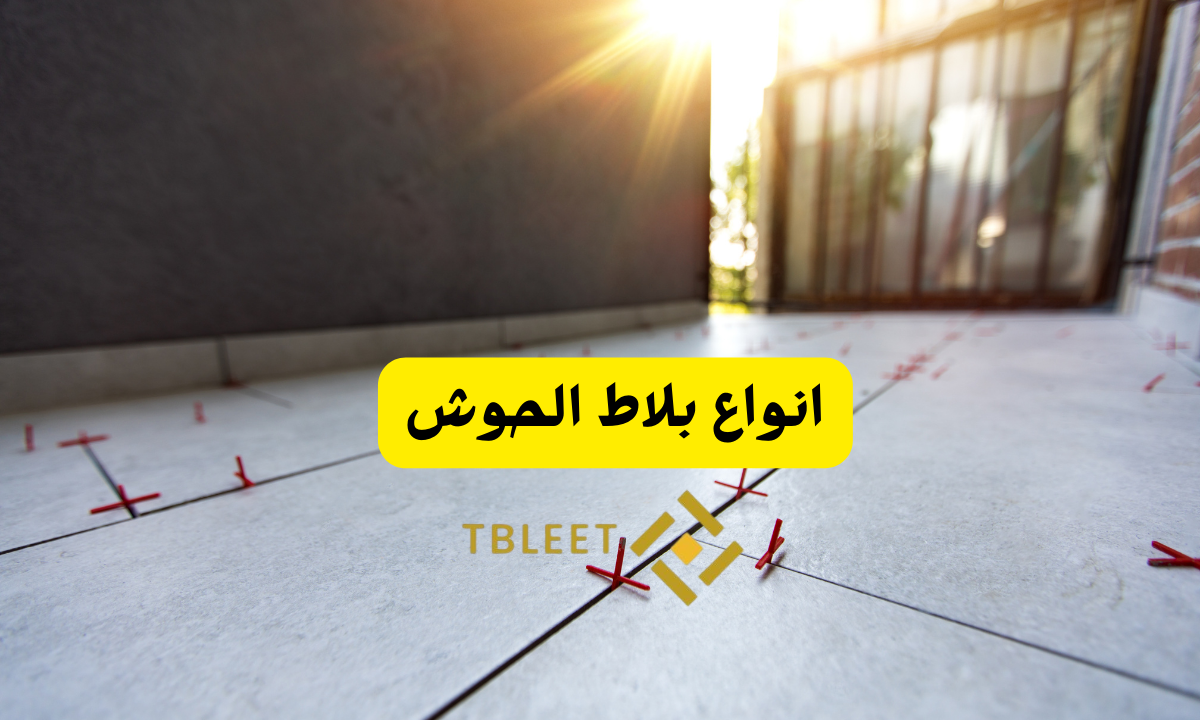 انواع بلاط الحوش